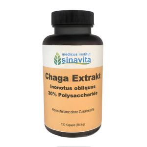 CHAGA EXTRAKT Kapseln